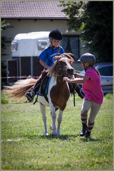Mounted Games 234